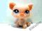 LITTLEST PET SHOP - ŚWINKA #885 - LPS