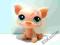 LITTLEST PET SHOP - ŚWINKA #998 - LPS