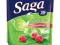 Saga herbata zielona malina 32,5g