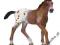 SCHLEICH Źrebię rasy Appaloosa new 2013 DHL
