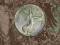 Moneta POLSKA 5 zlotych 1928 z aniolem wykopki zl