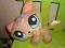 Littlest Pet Shop kotek ok.21cm.