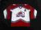 Bluza NHL CCM Colorado Avalanche L Peter Forsberg