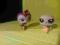 figurki littlest pet shop sowa i gołąb