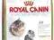 Royal Canin Feline Breed Kitten Persian 32 400g