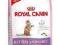 Royal Canin Feline Kitten Sterilised 4kg