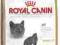 Royal Canin Feline Breed British Shorthair 34 10kg