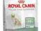 Royal Canin Feline Digestive Comfort 38 400g