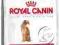 Royal Canin Feline Exigent Aromatic Attraction 33