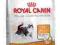 Royal Canin Feline Hair Skin 33 10kg