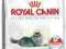 Royal Canin Feline Indoor Long Hair 35 400g