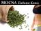 ZIELONA KAWA Green Coffee EXTRA SLIM 1 kg MOCNA