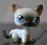 Littlest Pet Shop kotek Shorthair