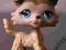 Littlest Pet Shop Pies Collie