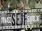 CD MP3 SEJF
