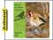 dvdmaxpl POPULARNE PTAKI [CD]