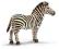 Schleich 14391 - Zebra samiec + katalog