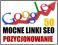 50 Mocnych Linków SEO Profile - Pozycjonowanie