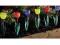 Lampy Solarne, Tulipany Ogrodowe 6 sztuk , LED!!!