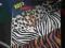 Kiss -animalize   EX+