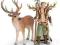 Schleich 70430 - Elf Apricum z jeleniem