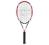 Rakieta Wilson [K] BOLD , rączka 2 , 319 zł