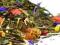 herbata zielona SENCHA LOVE 50 g