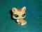 figurka LPS littlest pet shop kotek kotek