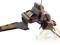06672 Revell STAR WARS  Republic Attack Shuttle