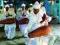 SATTRIYA: CLASSICAL DANCE OF ASSAM Sunil Kothari