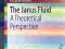 THE JANUS FLUID: A THEORETICAL PERSPECTIVE Fantoni