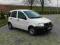 FIAT PANDA VAN 1.1 IGIEŁKA XENON KUPIONY W SALONIE