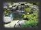 __WODA w ogrodzie wodospad OCZKO WODNE__JAKOŚĆ_
