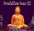 buddha-bar vol.IX by Ravin BUDDHA BAR IX idealny