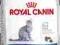 ROYAL CANIN FELINE INDOOR 27 - 10KG