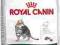 ROYAL CANIN OUTDOOR +7 - 2kg.