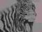 Zebra ołówek + akwarela