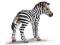 SCHLEICH 14393 ZEBRA ŹREBIĘ