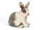 SCHLEICH 13673 KRÓLIK SIEDZĄCY new 2011