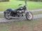 Harley sportster 2001