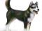 SCHLEICH figurka piesek PIES rasy HUSKY