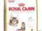 Royal Canin Maine Coon 36 Kitten - 4kg