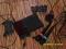 Sony PlayStation 2 Slim 2pady kamera 2mikrofony gy