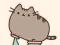 I am Pusheen the Cat - Claire Belton *WRO