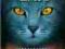 ERIN HUNTER - WARRIOR CATS - GEHEIMEN holenderski