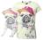 COOLCAT BLUZKA t-shirt piesek mops 146/152 NOWOŚĆ