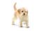 SCHLEICH 16396 Golden retriever, szczenię