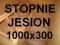 Stopnie schody 1000x300x39 trepy jesion jesionowe