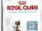 Royal Canin Intense Hairball 10kg - odkłaczanie