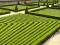 BUKSZPAN BUXUS 14-16 CM KOMPLET 90gr/szt TANIO